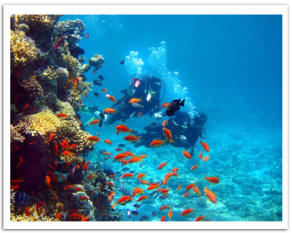 buceo1